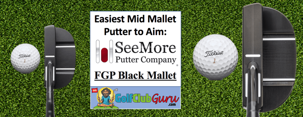 Best Putter to Line Up Aim at Hole
