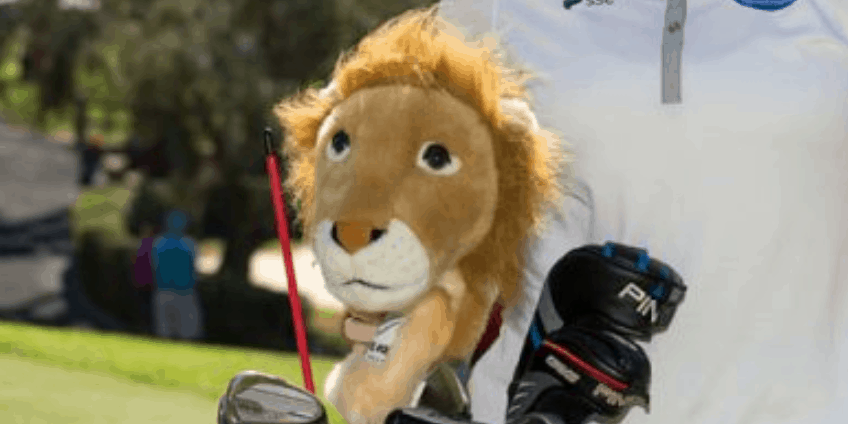 Best Headcovers for Golf