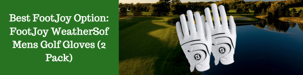 pack lot 2 golf gloves discount
