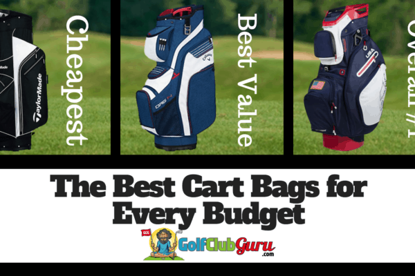 the best cart bags