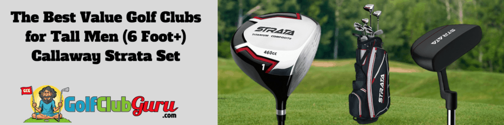 best value golf clubs tall male