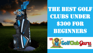the best golf clubs for beginners 2020