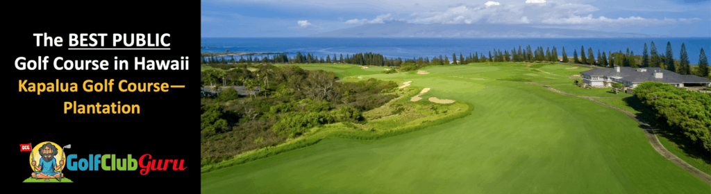 the best public golf course that you can play in hawaii kapalua plantation pictures